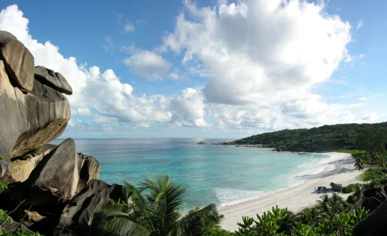 Sentier tropical vers une plage de rêve