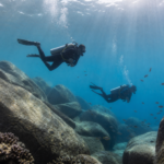 Plongée à La Digue : sites, niveaux et conseils pratiques