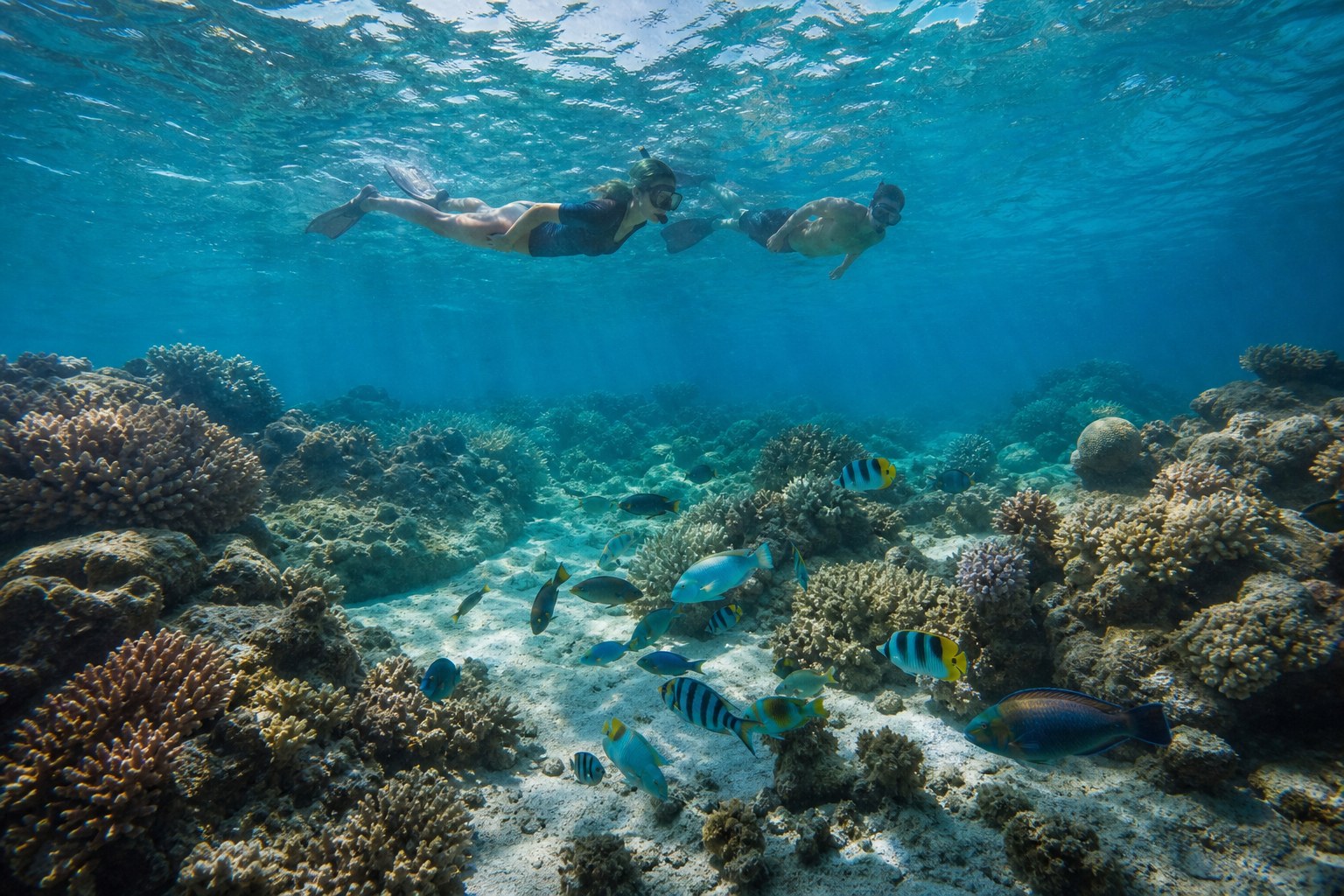 Snorkelers observant un récif corallien à distance sans toucher le corail