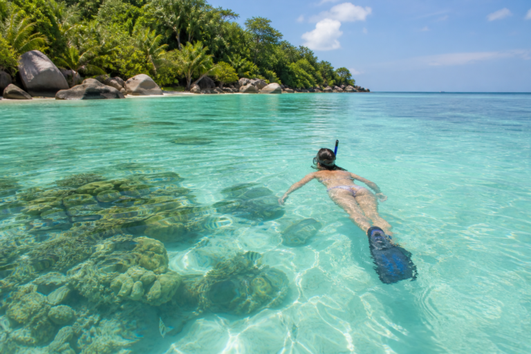 Snorkeling dans une lagune calme et peu profonde aux Seychelles, vue depuis la surface