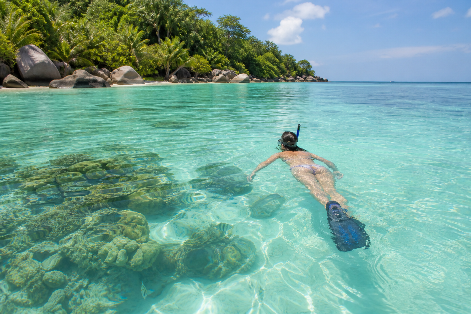 Snorkeling aux Seychelles débutant : comment bien commencer
