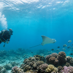 Voyage plongée aux Seychelles : organiser un séjour entre deux immersions