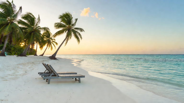 Plage déserte des Seychelles à l'aube, eaux turquoise et cocotiers, illustration d'une île tropicale moins touristique