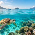 Tortues marines aux Seychelles : choisissez votre île, sans attendre une rencontre garantie